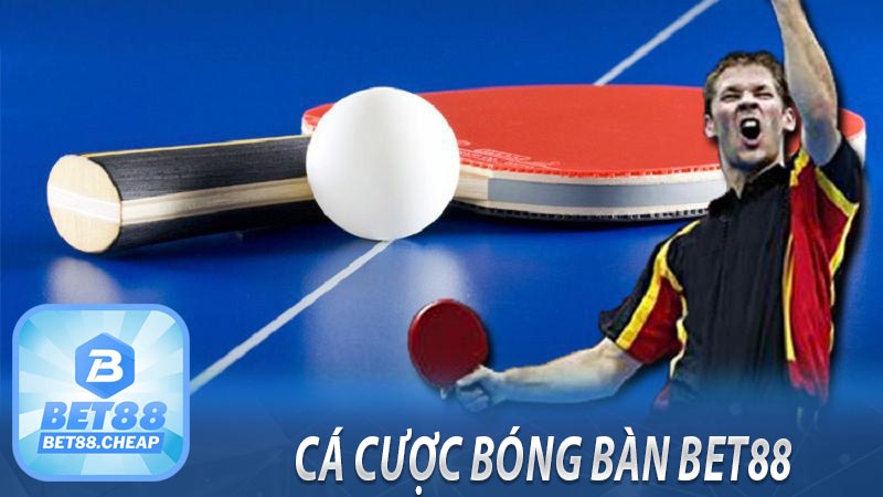 Cá Cược Bóng Bàn BET88